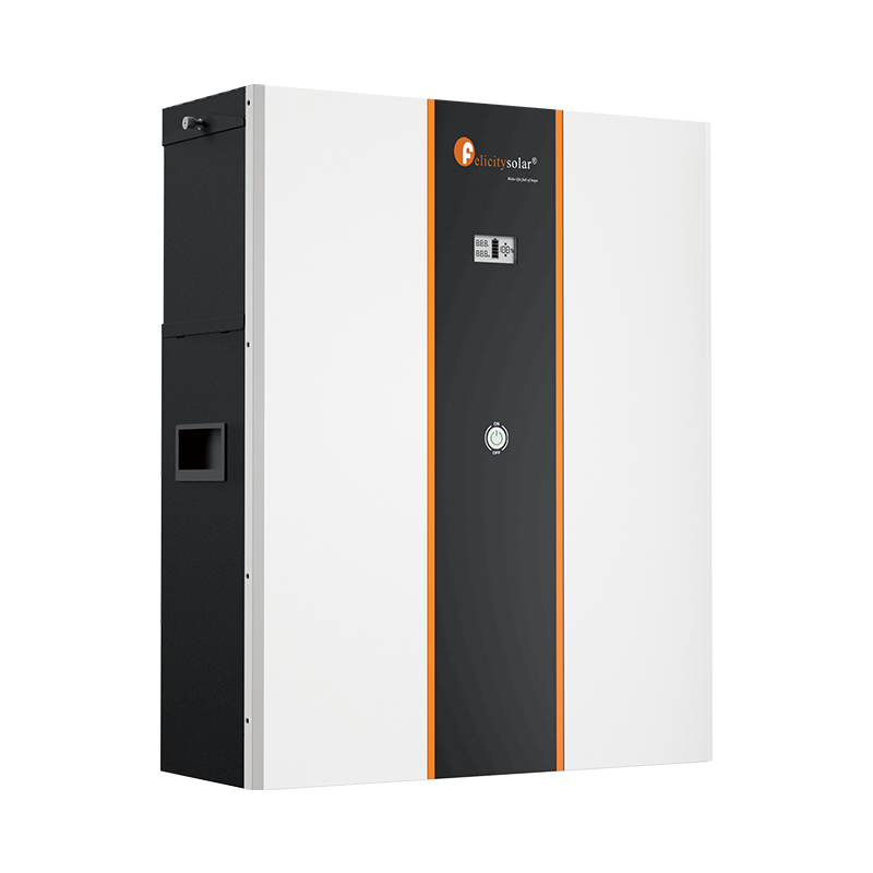 LPBF24300