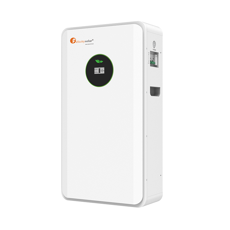 Fla48100 (2)